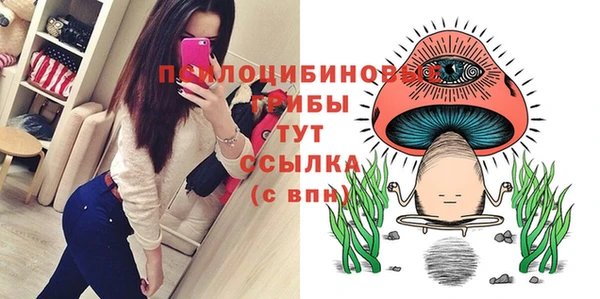гидропоника Киреевск