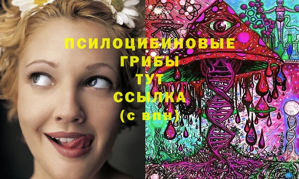 стафф Киренск