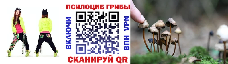 Псилоцибиновые грибы GOLDEN TEACHER  Купить закладки  Байкальск 
